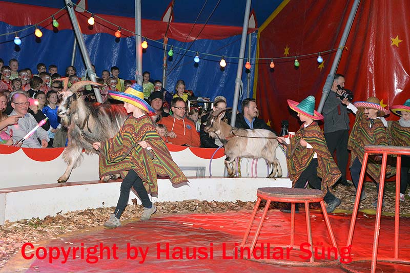 Zirkus GGS Sng Bilder (55)03