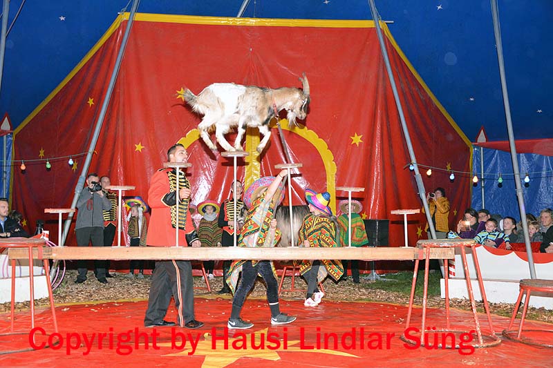Zirkus GGS Sng Bilder (60)04