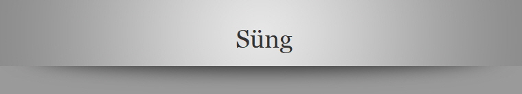  Sng