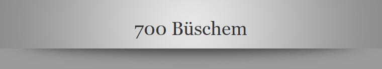700 Bschem