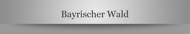 Bayrischer Wald