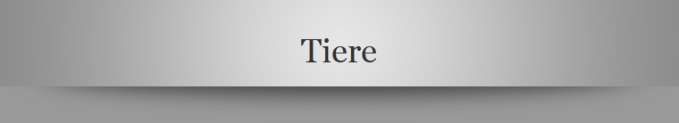 Tiere
